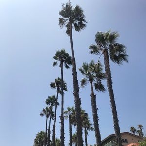 Meet your Posher, Lorena